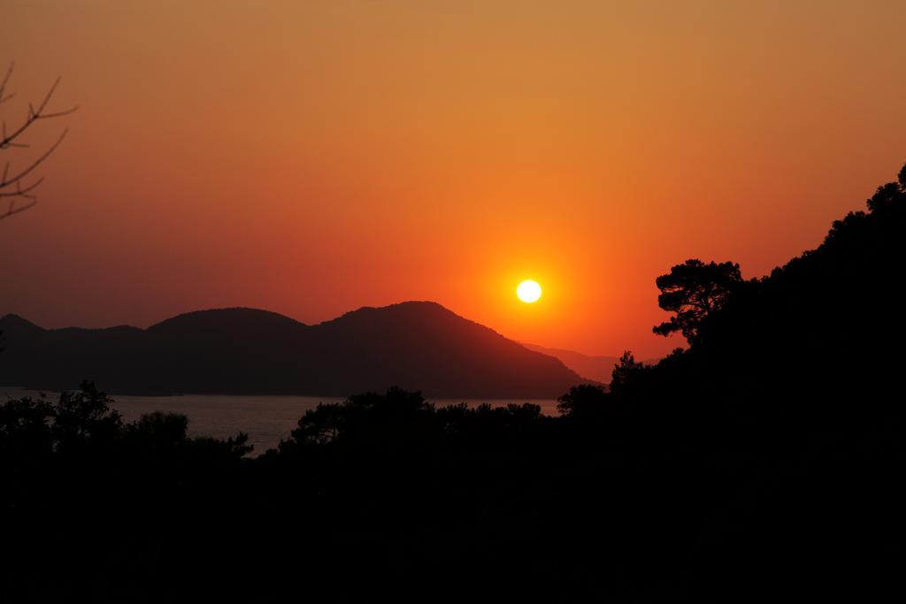 Kidrak Otel Montenegro-1 Faralya Esterno foto